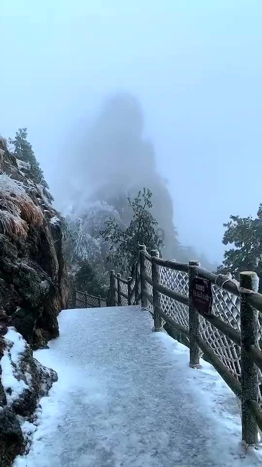 密室逃脱5之惊魂博物馆