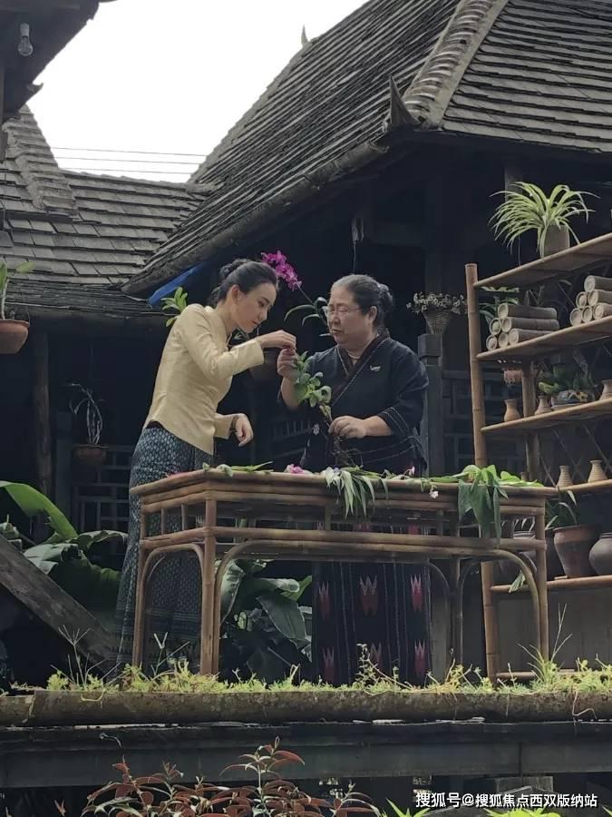 《大宅门》都为二奶奶的丫鬟和杨九红斗,为啥槐花惨死,香秀上位