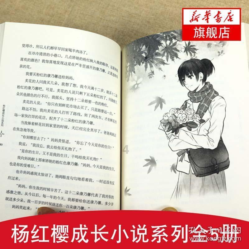 模拟农场17