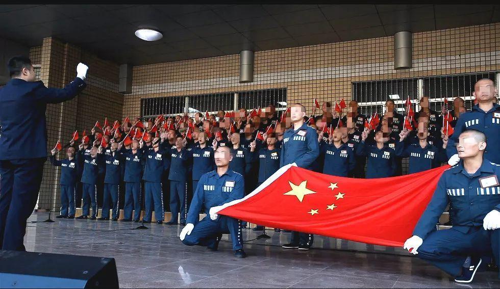 可爱猪救援2