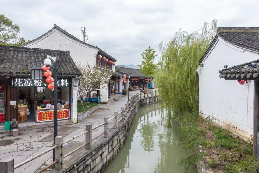 刺疙瘩”变“金果果”——贵州省安顺市分行服务当地刺梨产业侧记