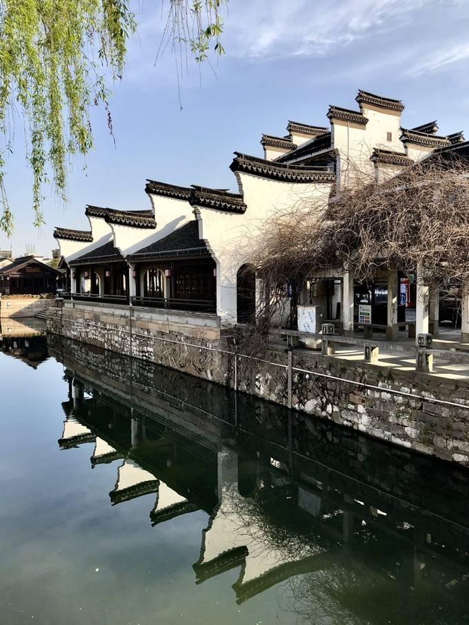 救援蓝鸦